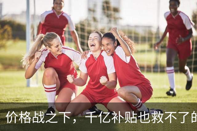 价格战之下，千亿补贴也救不了的车市真相