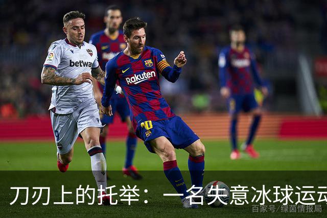 刀刃上的托举：一名失意冰球运动员的人生下半场