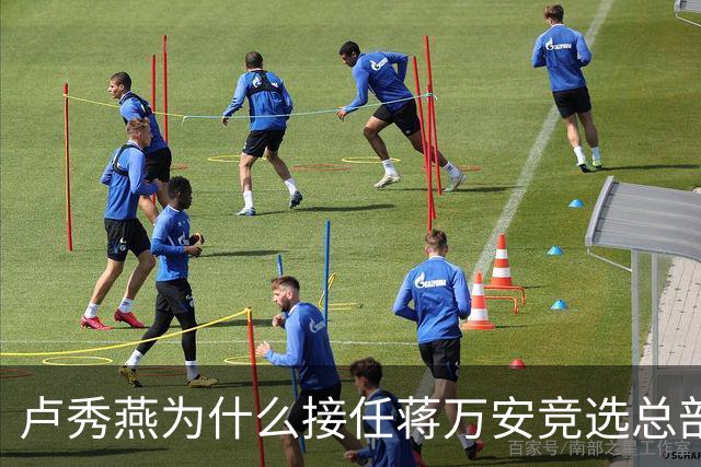 卢秀燕为什么接任蒋万安竞选总部的主委？