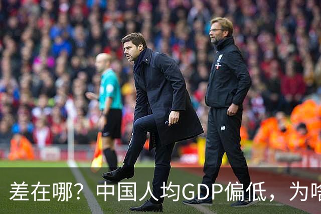 差在哪？中国人均GDP偏低，为啥生活却比多数发达国家还要好