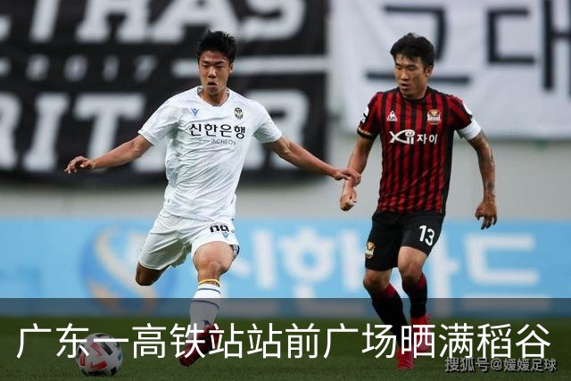 广东一高铁站站前广场晒满稻谷“治愈风”拉满，当地回应：不影响运行即可晾晒
