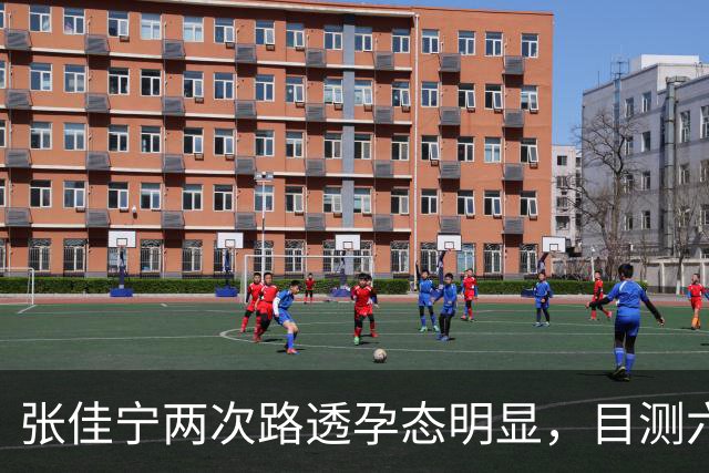 张佳宁两次路透孕态明显，目测六七个月，几段恋情全都未曾官宣