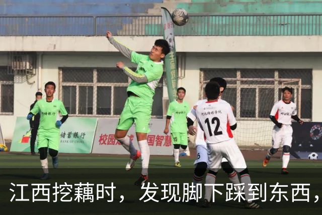 江西挖藕时，发现脚下踩到东西，众人合力将其挖出后全都傻眼