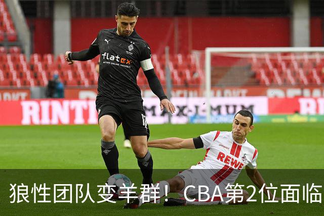 狼性团队变羊群！CBA第2位面临下课主帅曝光，发布会怒喷70%球员不在线，却说自己问心无愧！评论区一边倒