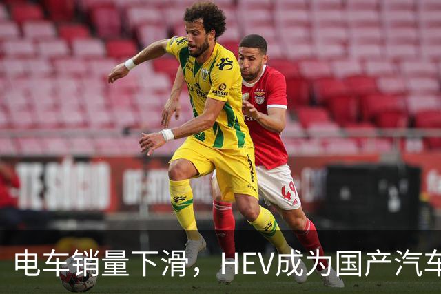 电车销量下滑，HEV成为国产汽车增长发动机，继续挑战丰田