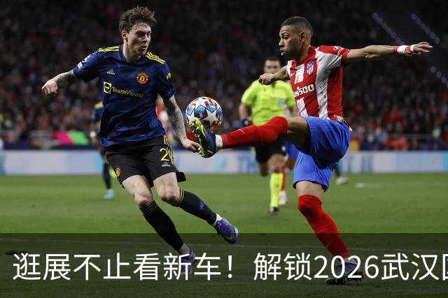 逛展不止看新车！解锁2026武汉国际车展的N种打开方式