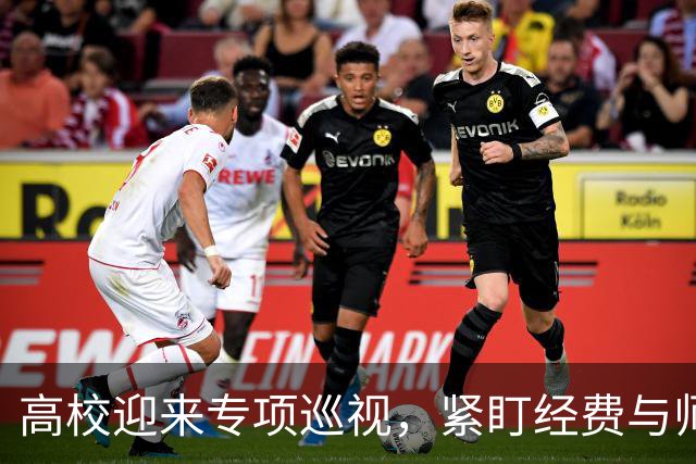 高校迎来专项巡视，紧盯经费与师德，清除少数校园蛀虫
