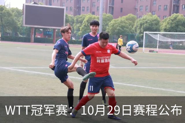 WTT冠军赛：10月29日赛程公布！国乒对决世界冠军，两大主力内战