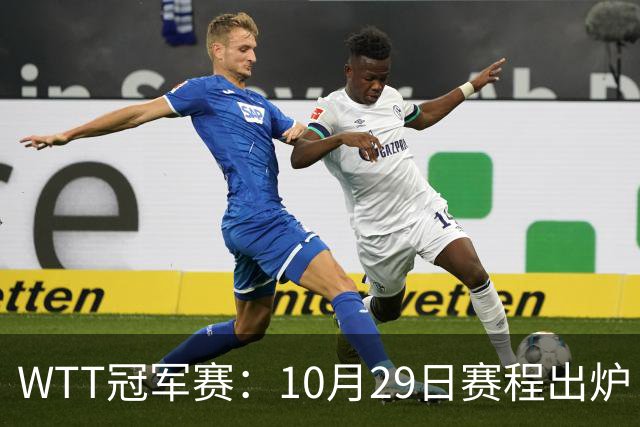 WTT冠军赛：10月29日赛程出炉！国乒对决世界冠军，两大主力内战